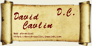 David Čavlin vizit kartica